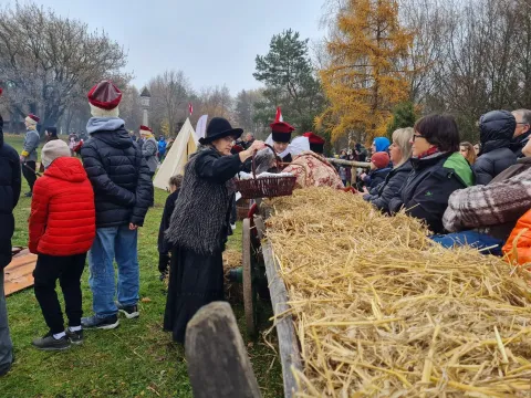 Zdjęcie 6