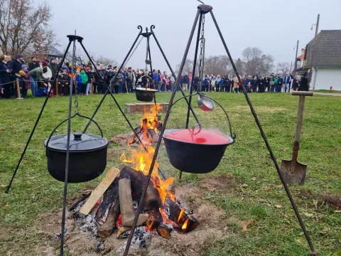 Zdjęcie 12