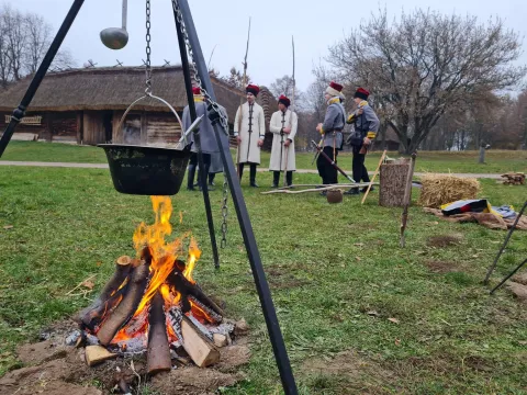 Zdjęcie 13