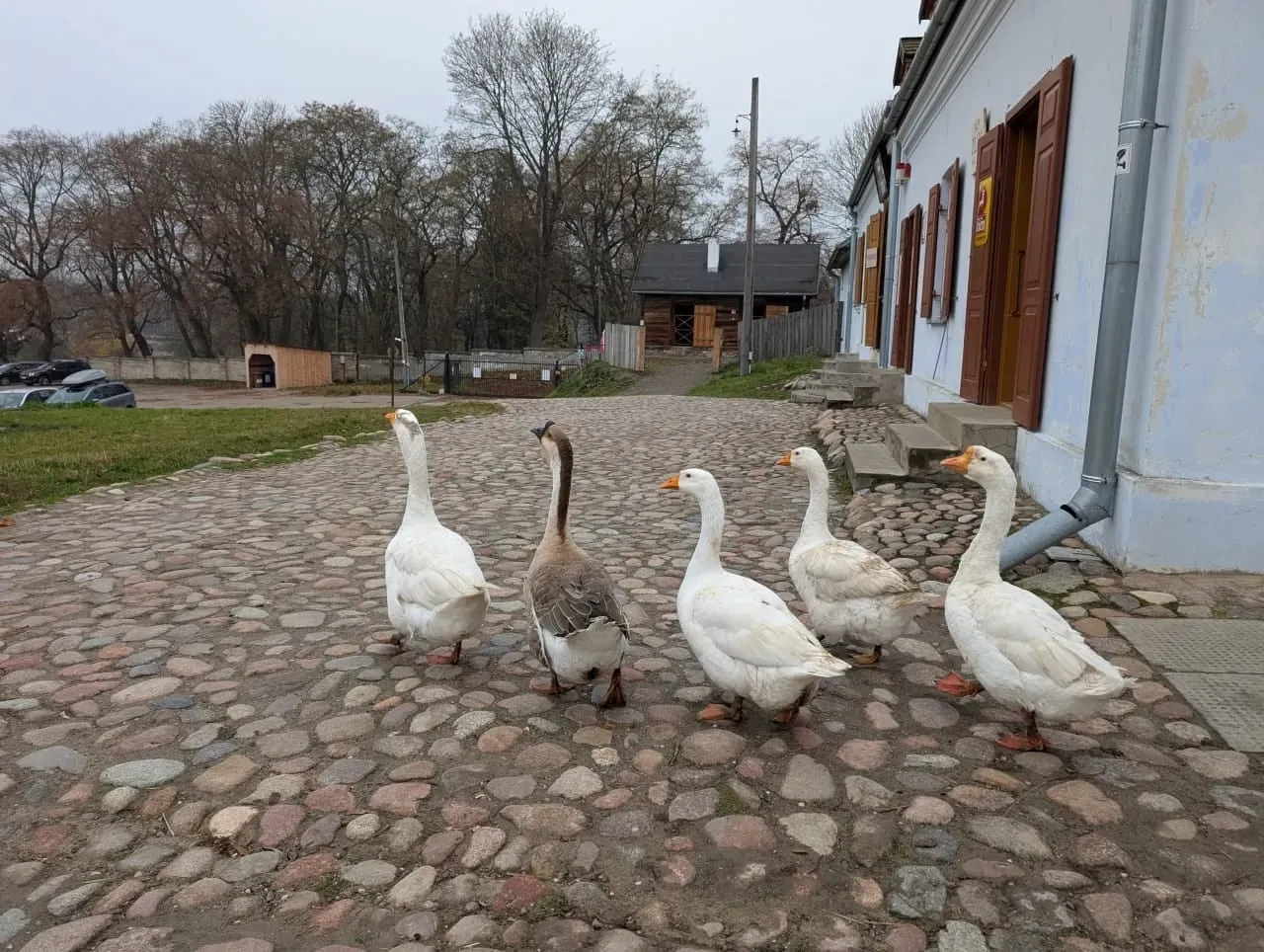 Widowisko Droga do wolności